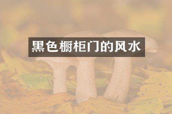 黑色橱柜门的风水