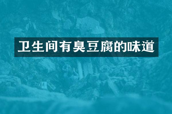 卫生间有臭豆腐的味道