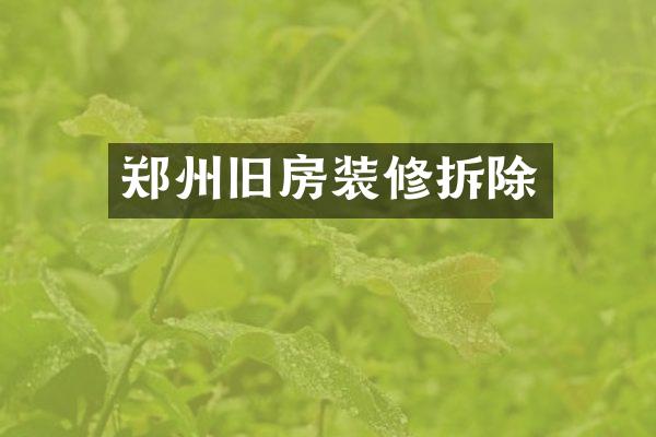 郑州旧房装修拆除