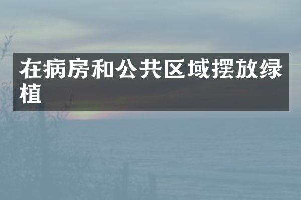 在病房和公共区域摆放绿植
