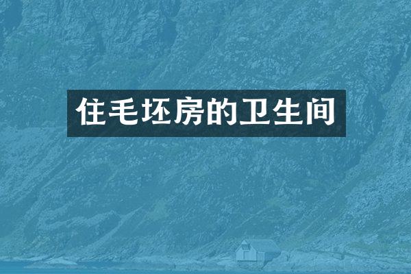 住毛坯房的卫生间