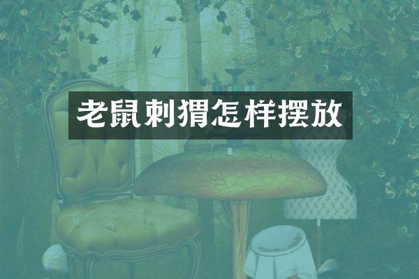 老鼠刺猬怎样摆放
