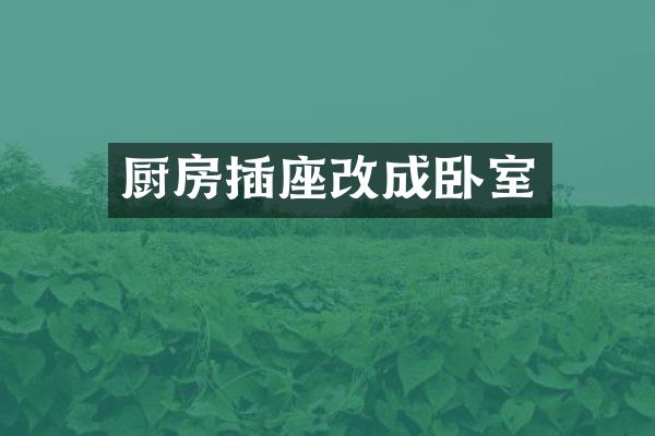 厨房插座改成卧室