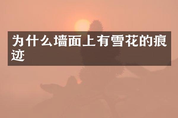 为什么墙面上有雪花的痕迹