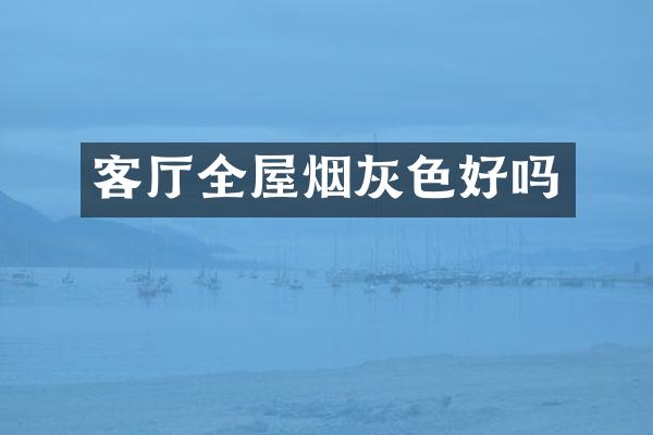 客厅全屋烟灰色好吗
