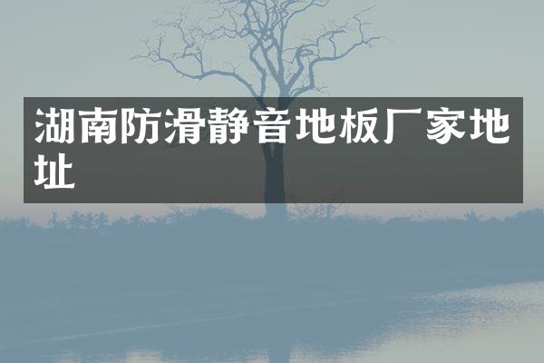湖南防滑静音地板厂家地址