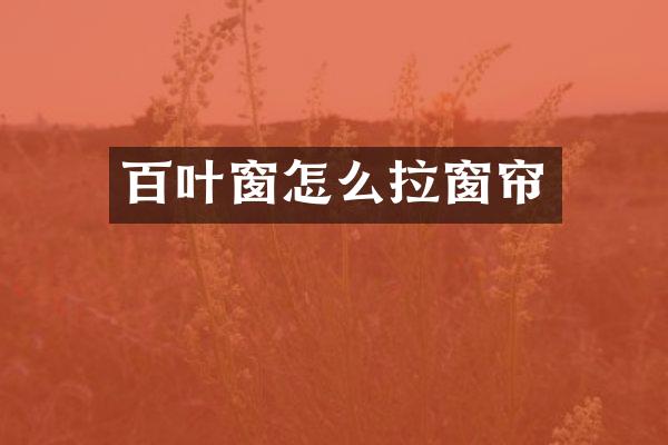 百叶窗怎么拉窗帘