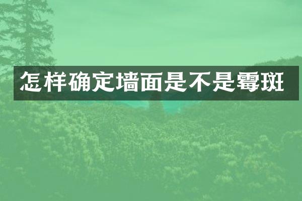 怎样确定墙面是不是霉斑