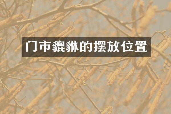 门市貔貅的摆放位置