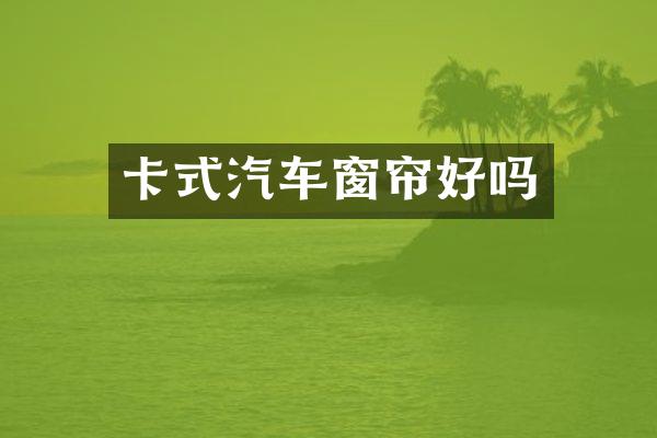 卡式汽车窗帘好吗