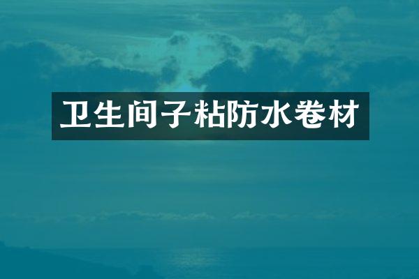 卫生间子粘防水卷材