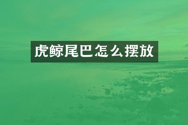 虎鲸尾巴怎么摆放