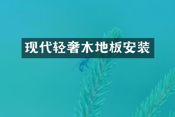 现代轻奢木地板安装