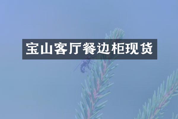 宝山客厅餐边柜现货