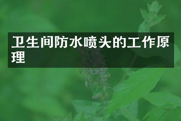 卫生间防水喷头的工作原理