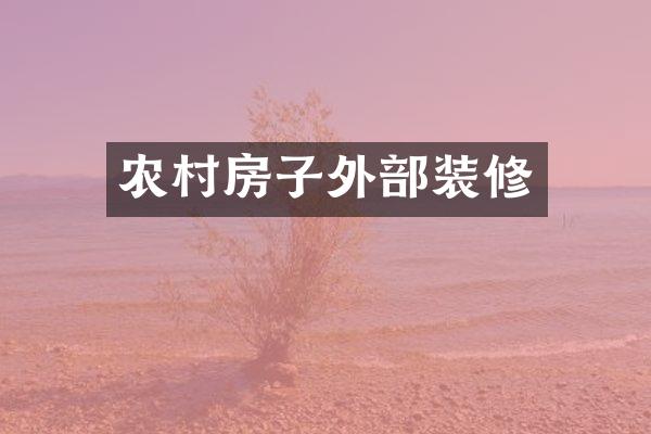 农村房子外部装修