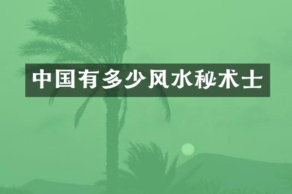 中国有多少风水秘术士