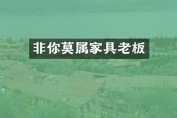 非你莫属家具老板