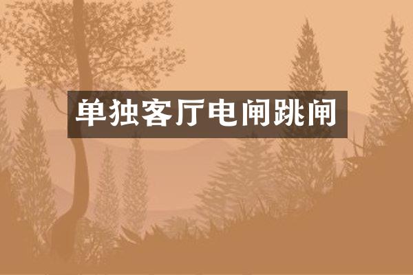 单独客厅电闸跳闸