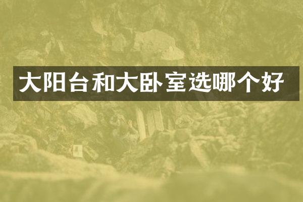 大阳台和大卧室选哪个好