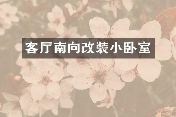 客厅南向改装小卧室
