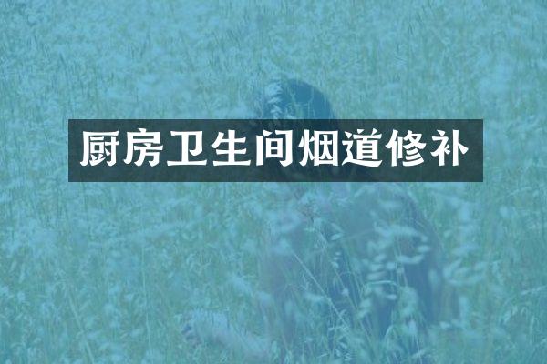 厨房卫生间烟道修补