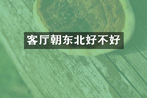 客厅朝东北好不好
