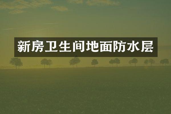 新房卫生间地面防水层