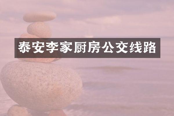 泰安李家厨房公交线路