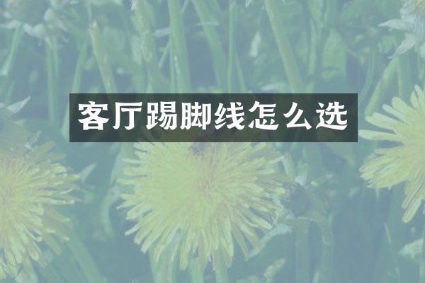 客厅踢脚线怎么选