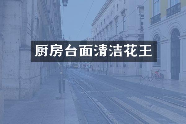 厨房台面清洁花王