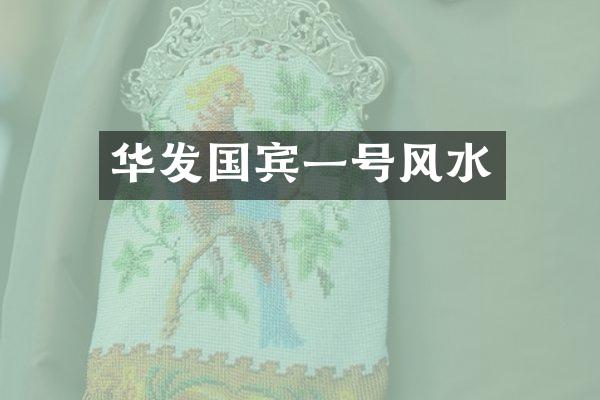 华发国宾一号风水