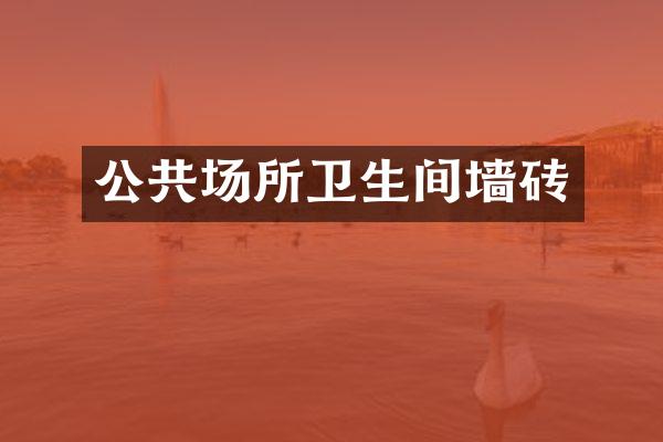 公共场所卫生间墙砖