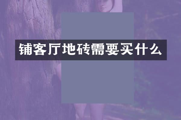 铺客厅地砖需要买什么