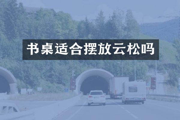 书桌适合摆放云松吗