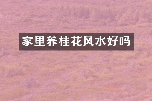 家里养桂花风水好吗