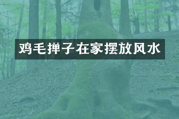 鸡毛掸子在家摆放风水