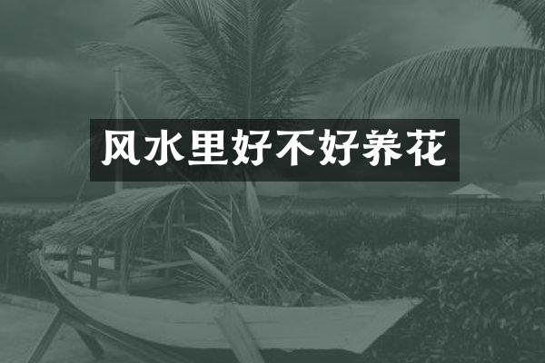 风水里好不好养花