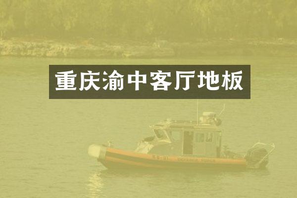 重庆渝中客厅地板