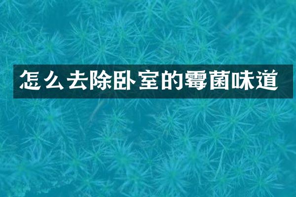怎么去除卧室的霉菌味道