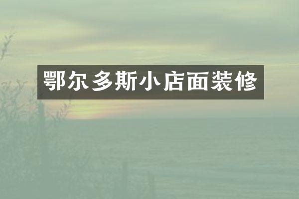 鄂尔多斯小店面装修