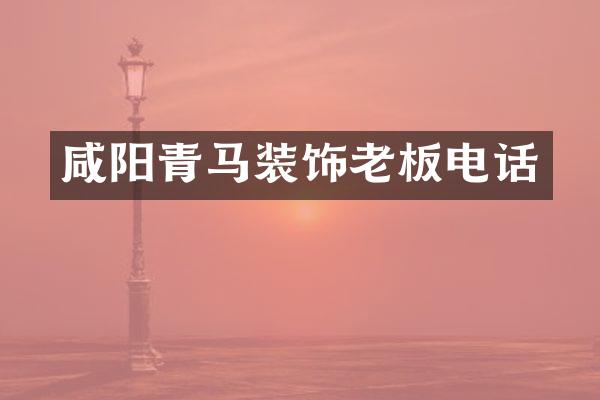 咸阳青马装饰老板电话
