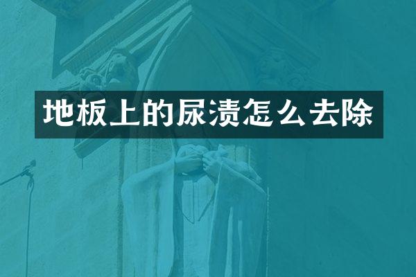 地板上的尿渍怎么去除