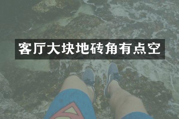 客厅大块地砖角有点空