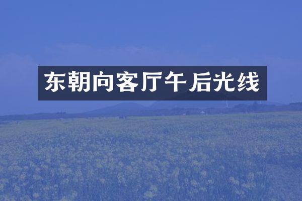 东朝向客厅午后光线