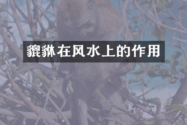 貔貅在风水上的作用