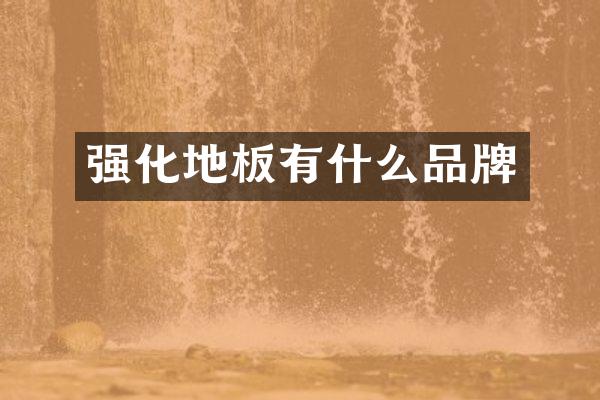 强化地板有什么品牌