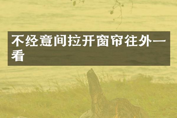 不经意间拉开窗帘往外一看