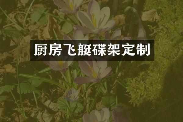厨房飞艇碟架定制