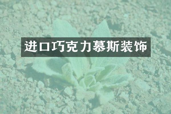 进口巧克力慕斯装饰